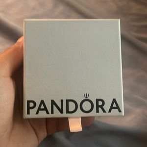 Pandora necklace